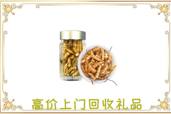 云龙周边回收虫草